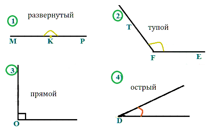 Математика 5 Мерзляк СР-12 В3