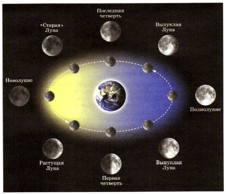 Лунное полнолуние 2024. Фаза Луны последняя четверть. Третья четверть Луны.